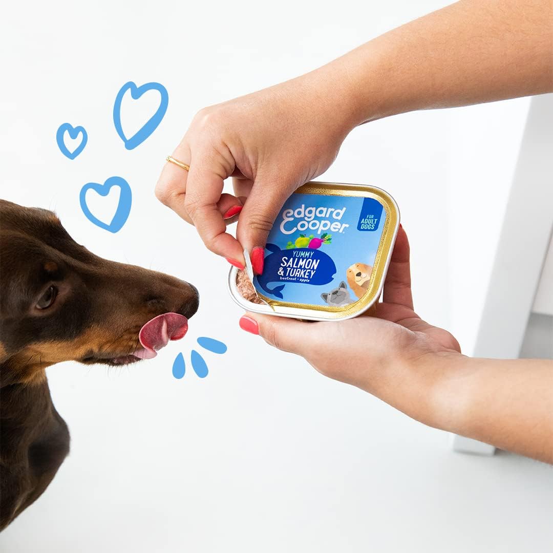 Hundefutter nass, Lachs/Truthahn, 150 g (11er Pack)