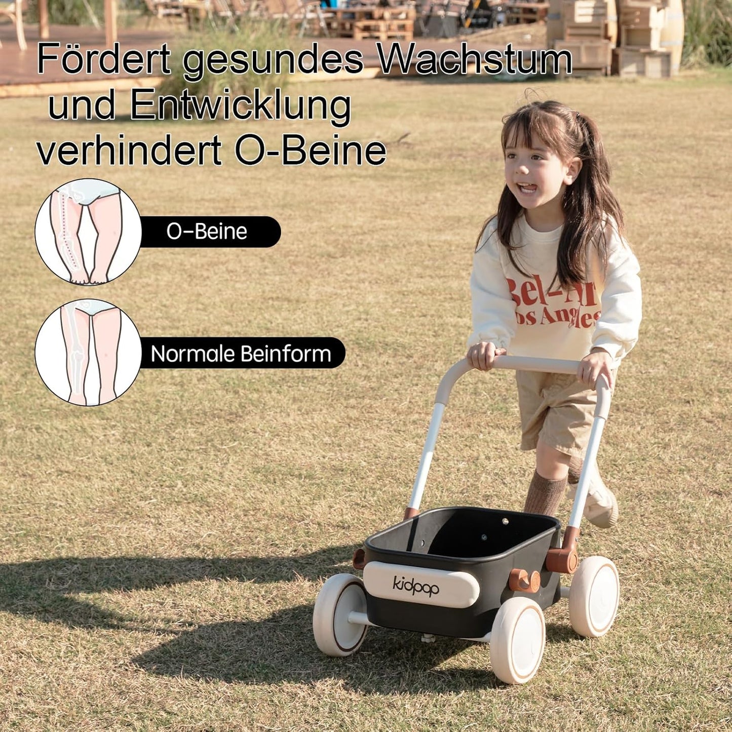 2-in-1 Baby Lauflernwagen Pula, Schwarz