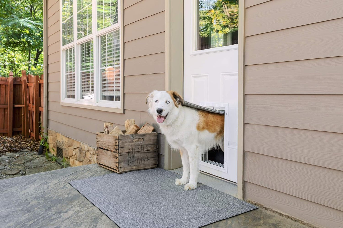 Einbauadapter für Hundeklappe, L