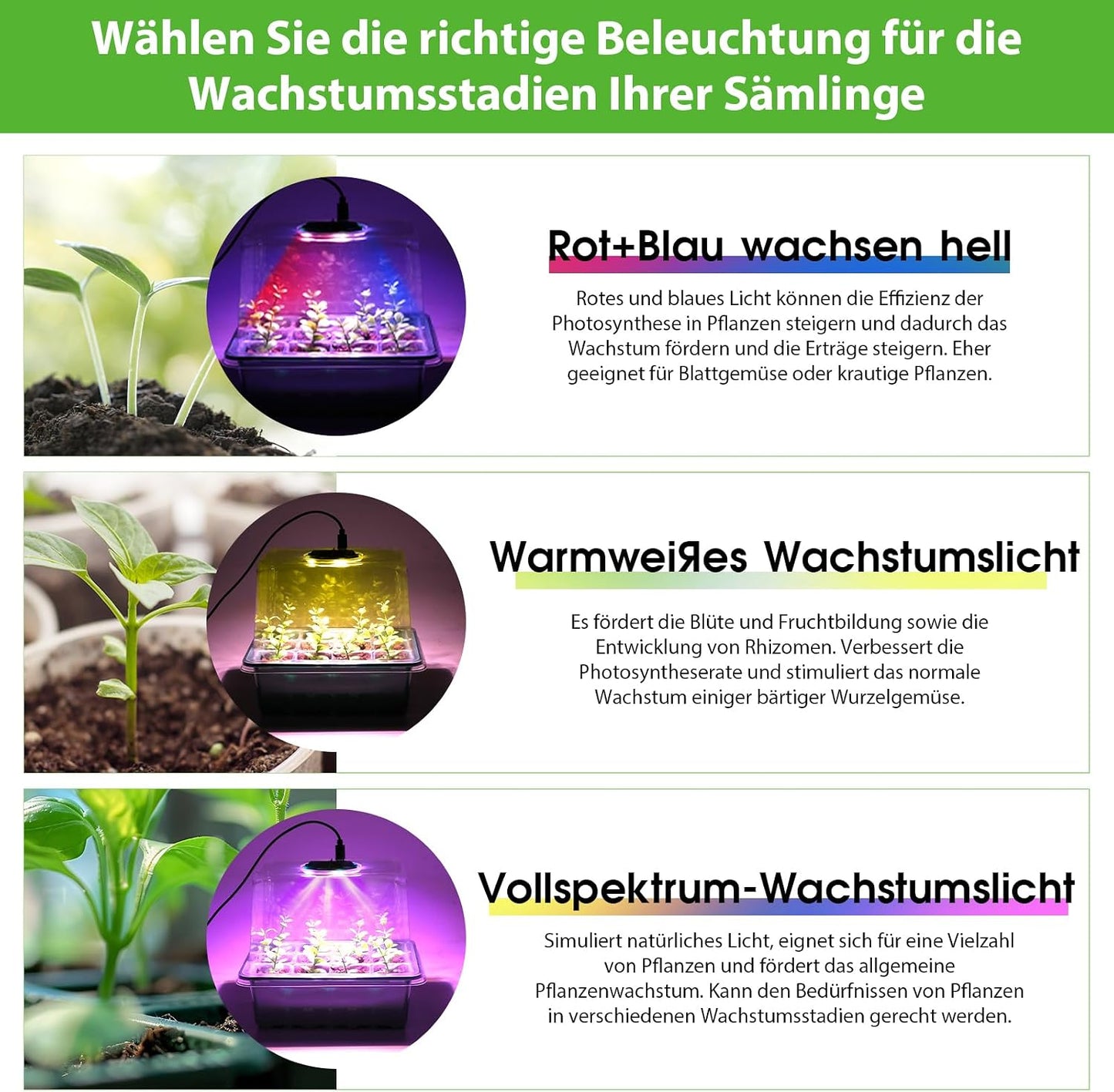 6 x Anzuchtschalen mit LED-Wachstumslicht und Timer, Grün-6pcs