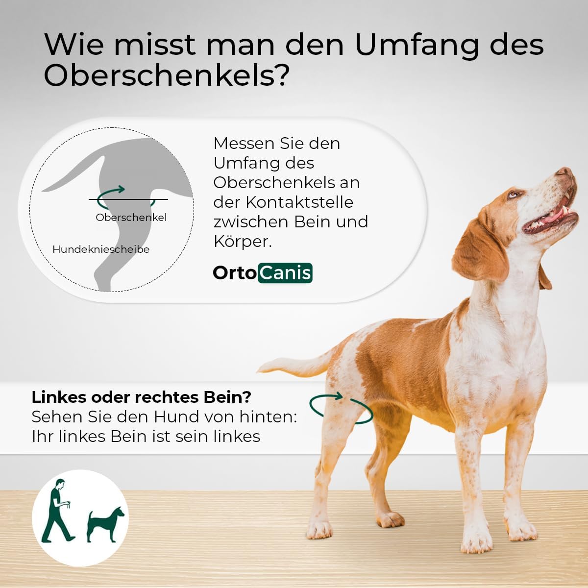 Kniebandage für Hunde bei Bänderverletzungen XX-Large, Rechtes Bein XX-Large (42 – 47 cm)