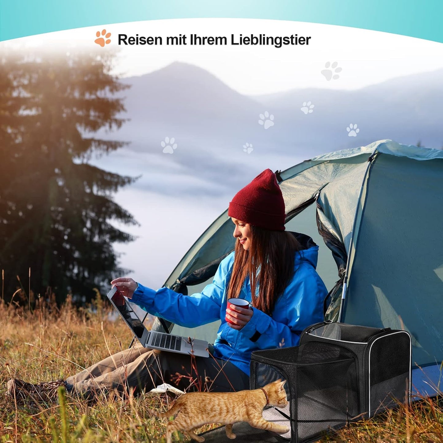 Transportbox, L 45 x B 33 x H 36 cm, Dunkel Grau-Erweiterbare