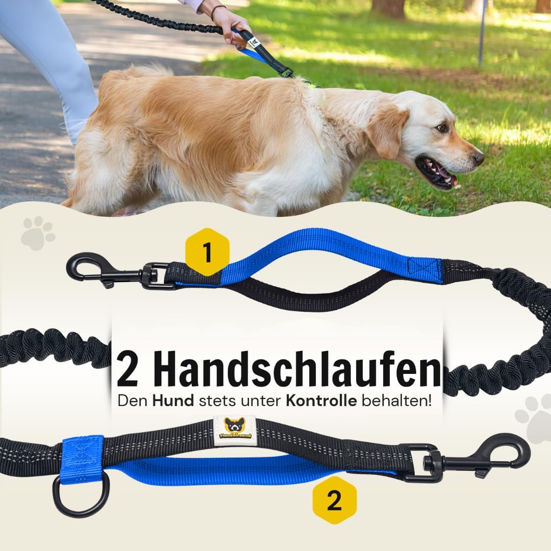 Joggingleine mit Bauchgurt für Hunde