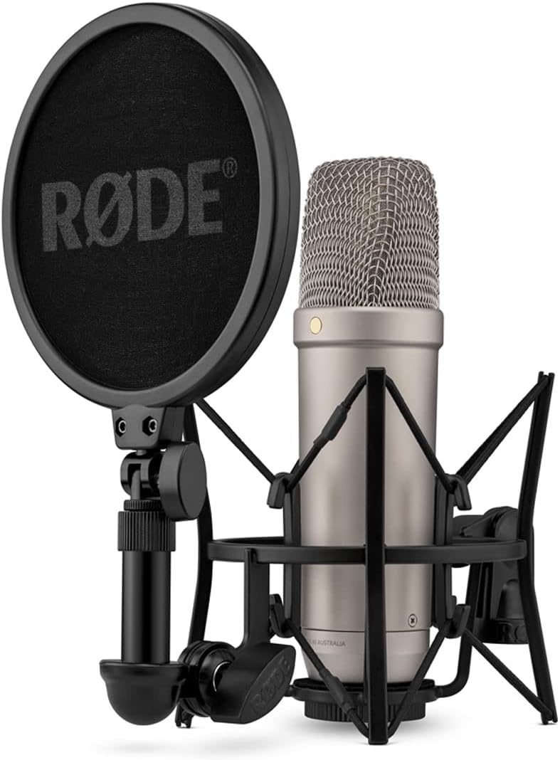 NT1 Mikrofon mit WS2 Popfilter