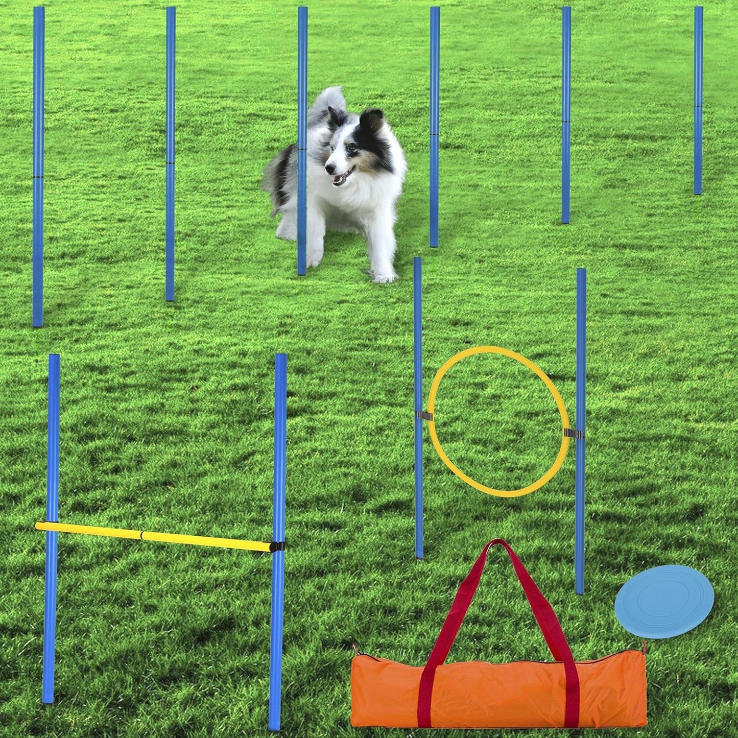 Agility Slalom- und Hindernis-Set, 12 Stangen + 2 Hindernisse + 1 Ring blau-gelb