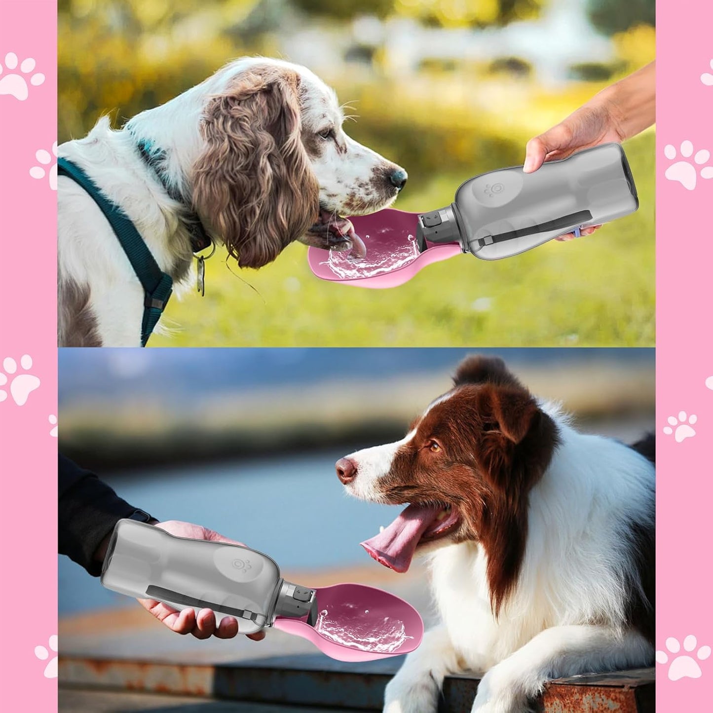 Hundetrinkflasche, Rosa