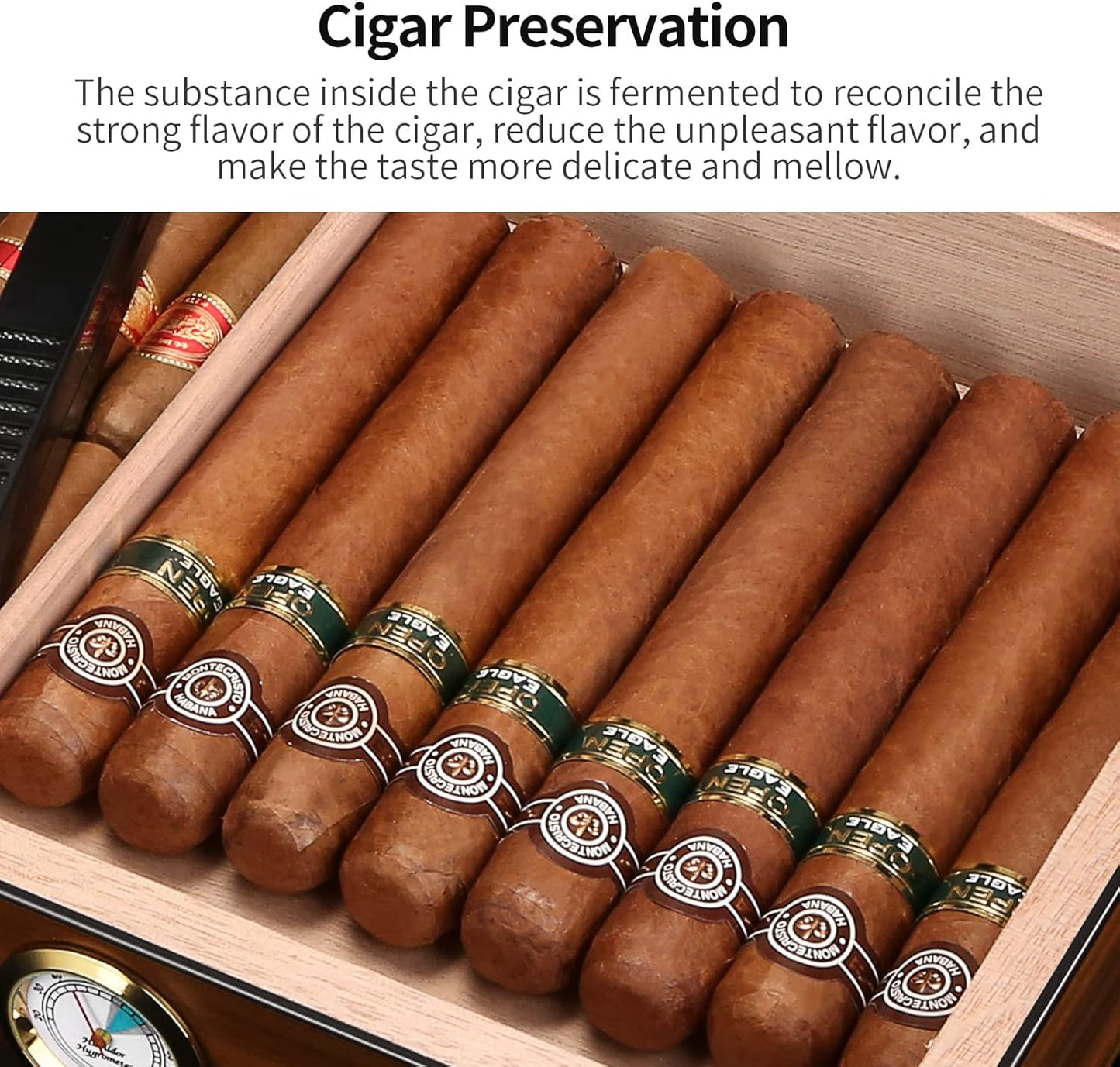 Zigarren Humidor, L