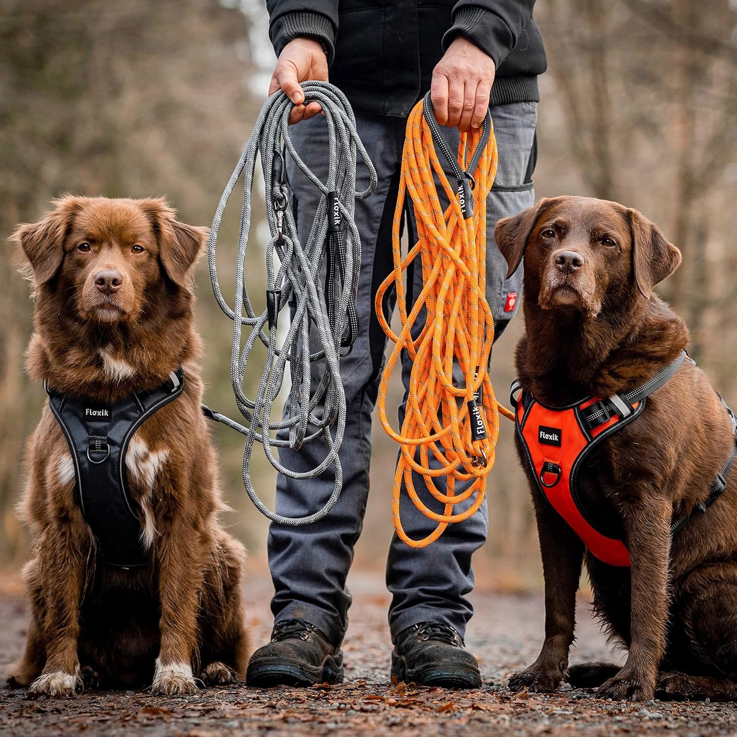 Hundeschleppleine, 10m Grau