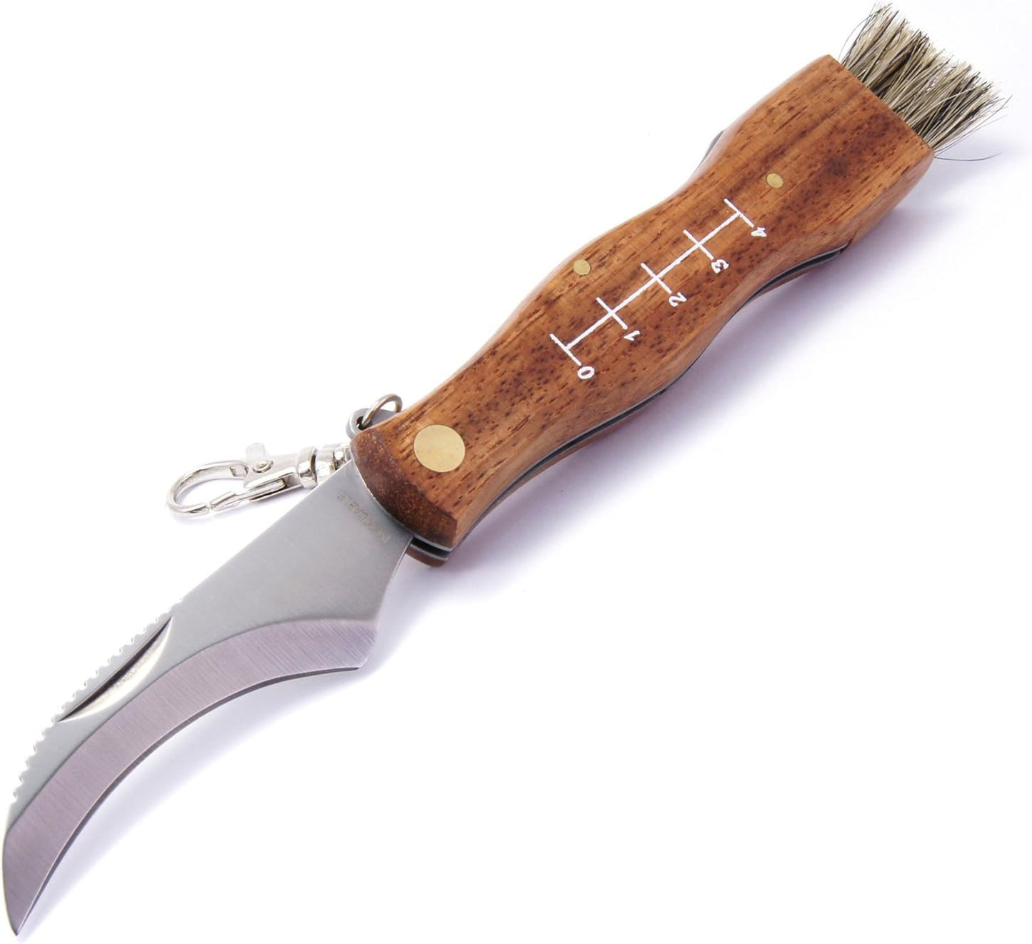 Pilzmesser mit Bürste für Pilzsammler