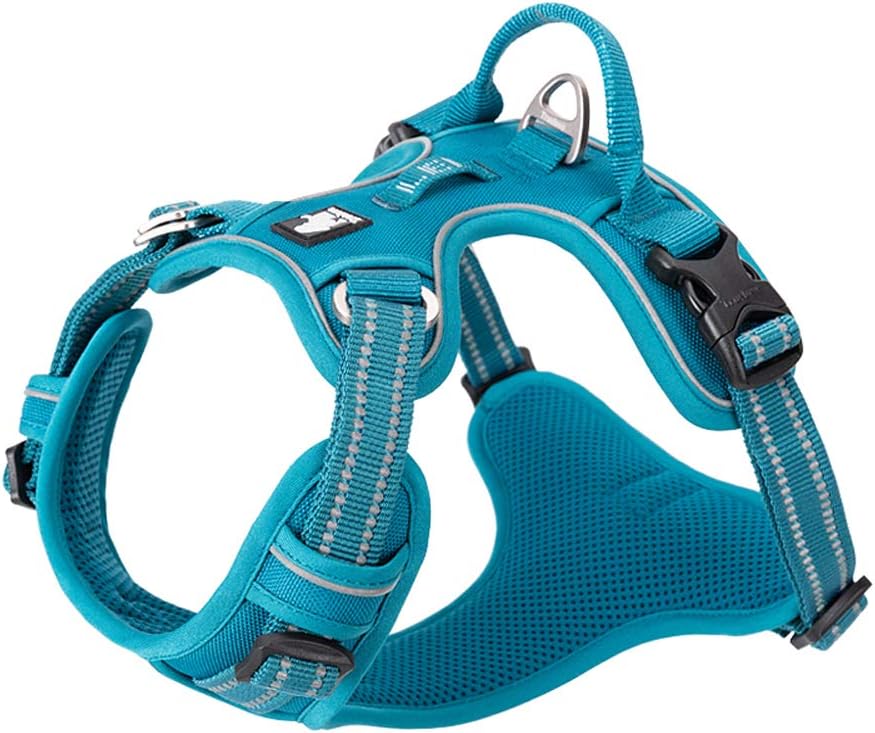 Hundegeschirr, M|Blau