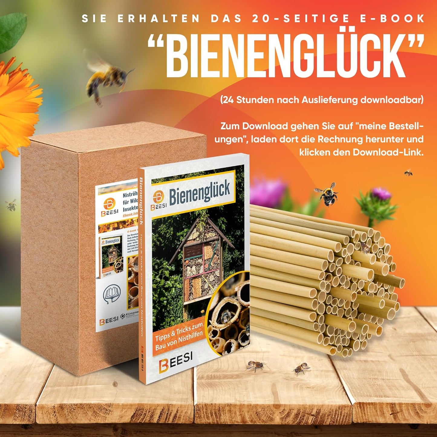 Bambusrohre für Insektenhotel