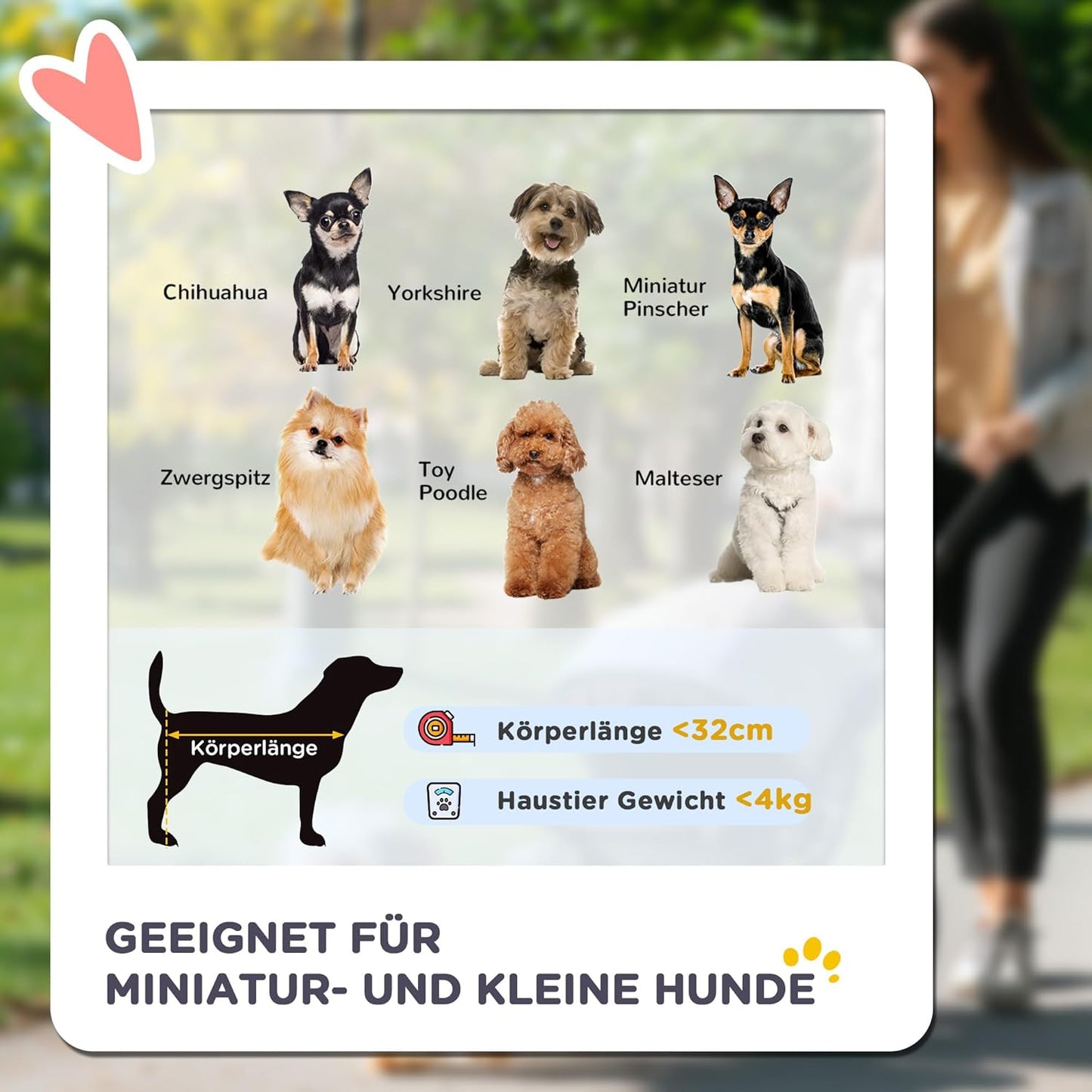 Hundebuggy mit Klappfunktion für kleine Hunde und Katzen, Blau