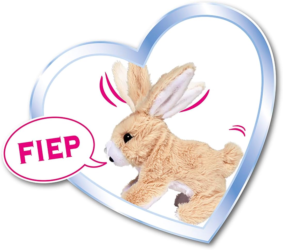 CCL Rabbit