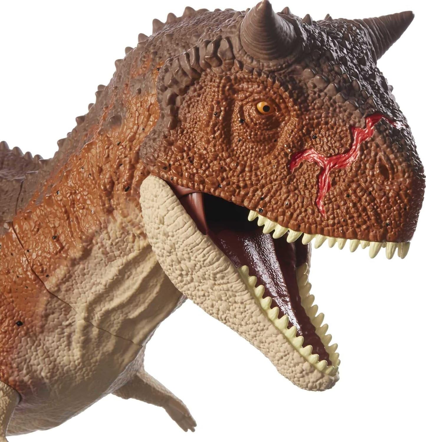 Riesendino Carnotaurus Toro, Carnotaurus Single