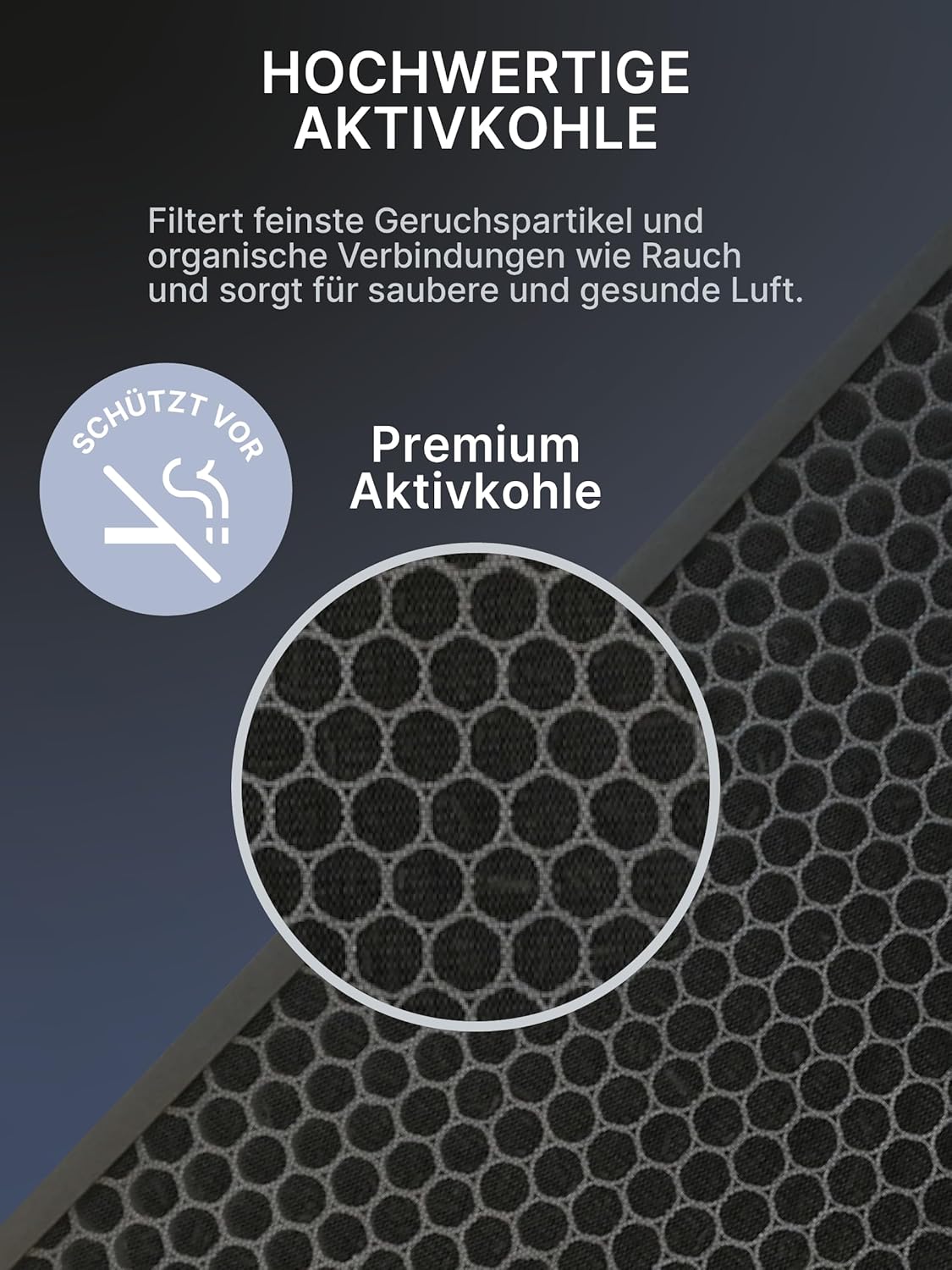 Filter-Set für Philips Luftreiniger Series 1000/1000i, 2