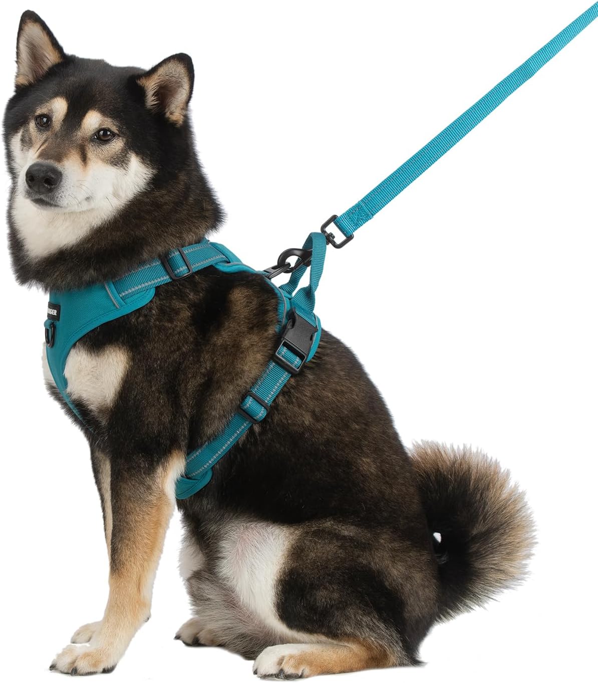 Verstellbares Hundegeschirr mit Reflektoren, S (Chest: 16 - 20") Geschirr (türkisfarbenes Nylon)