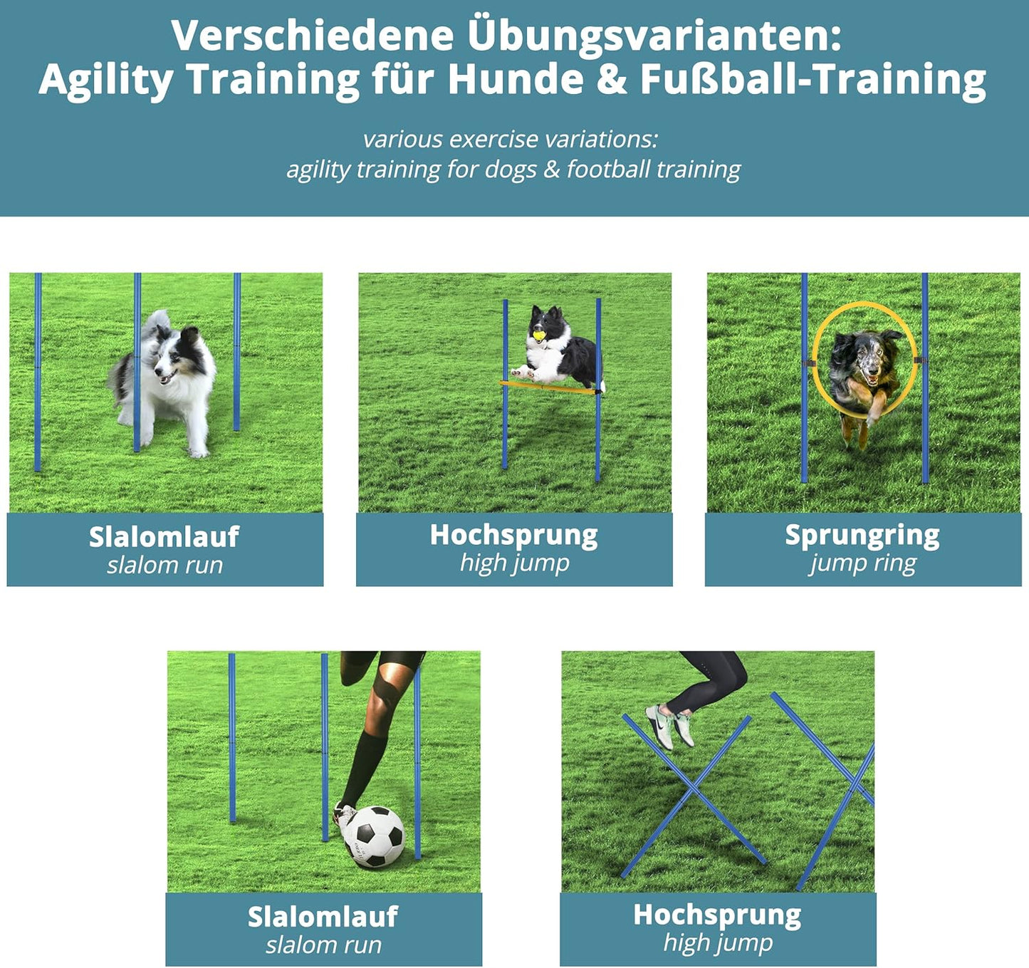 Agility Slalom- und Hindernis-Set, 12 Stangen + 2 Hindernisse + 1 Ring blau-gelb