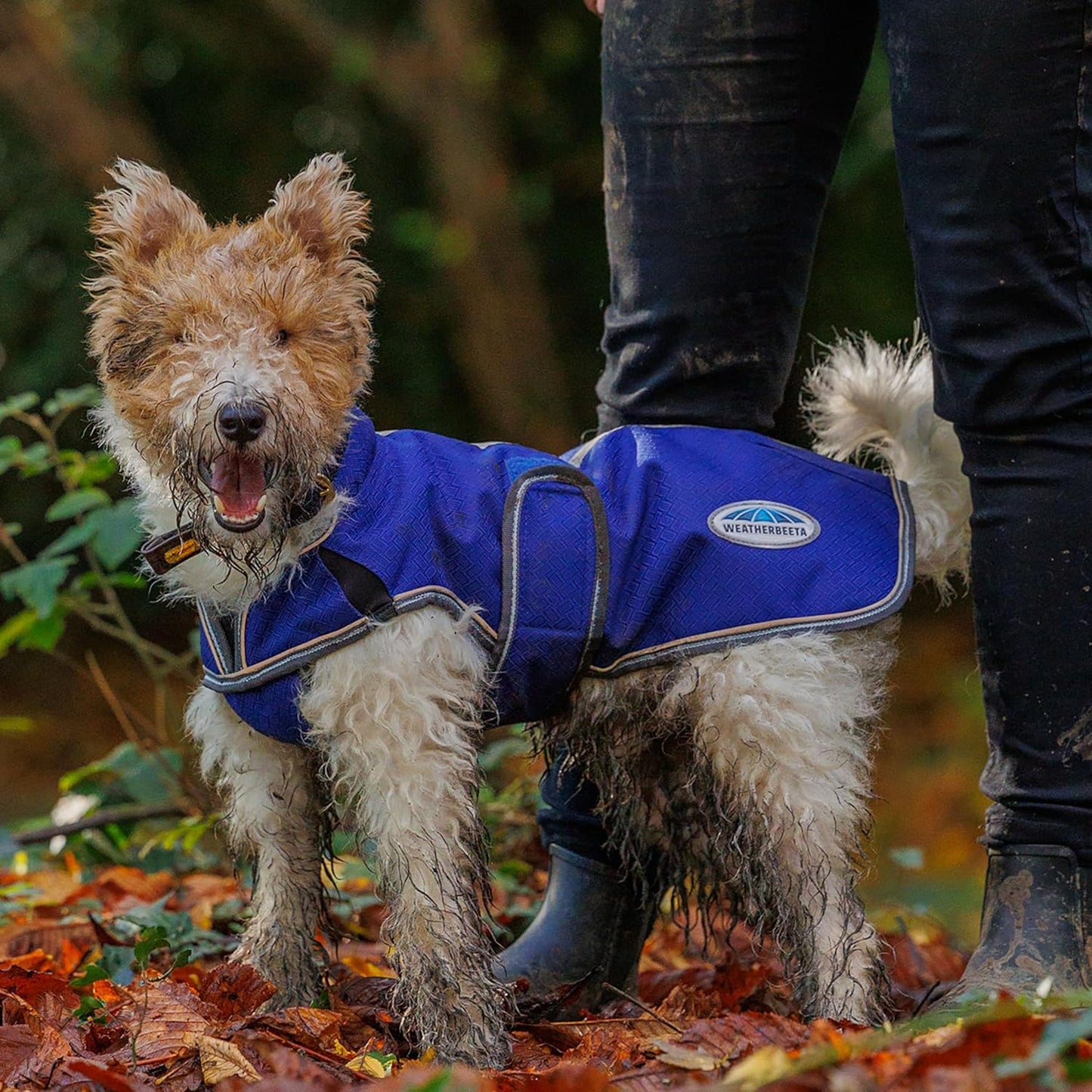 Comfitec Premier Hundemantel (30cm, 35cm), 35 cm