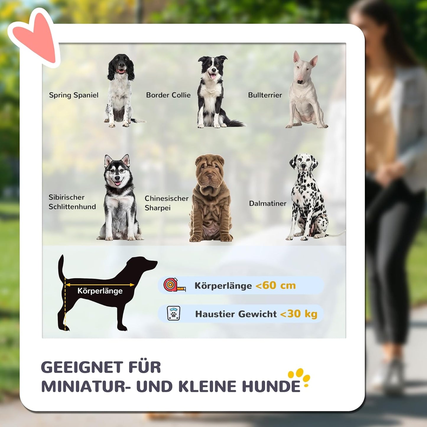 Faltbarer Hundebuggy mit Netzfenster und Sicherheitsleine, Grau