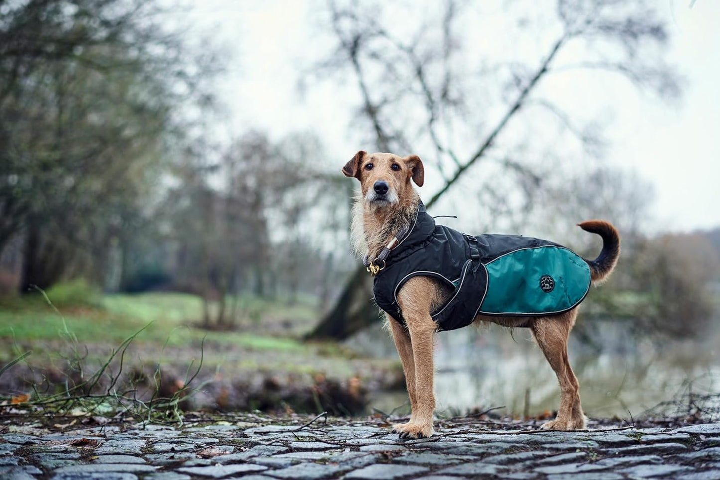 Hundemantel Uppsala Allrounder, 35 anthrazit/petrol