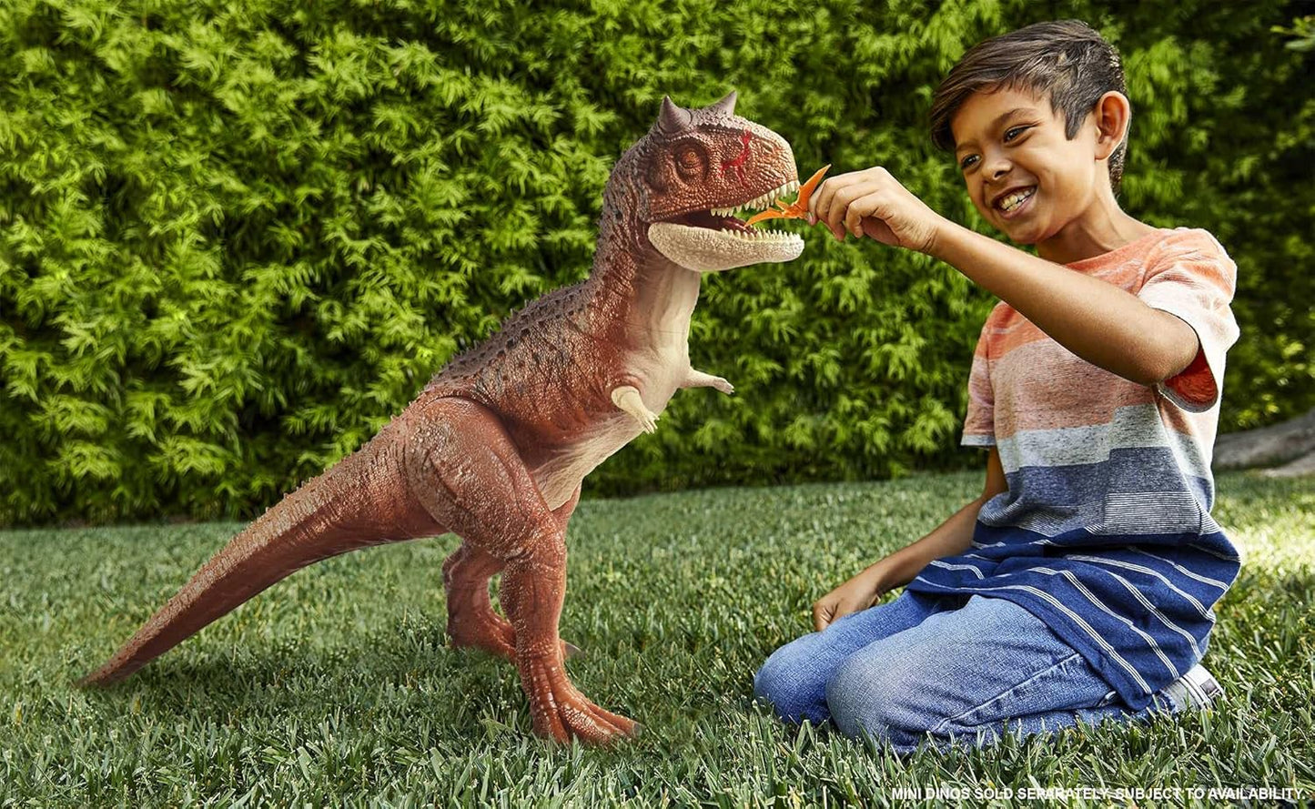 Riesendino Carnotaurus Toro, Carnotaurus Single