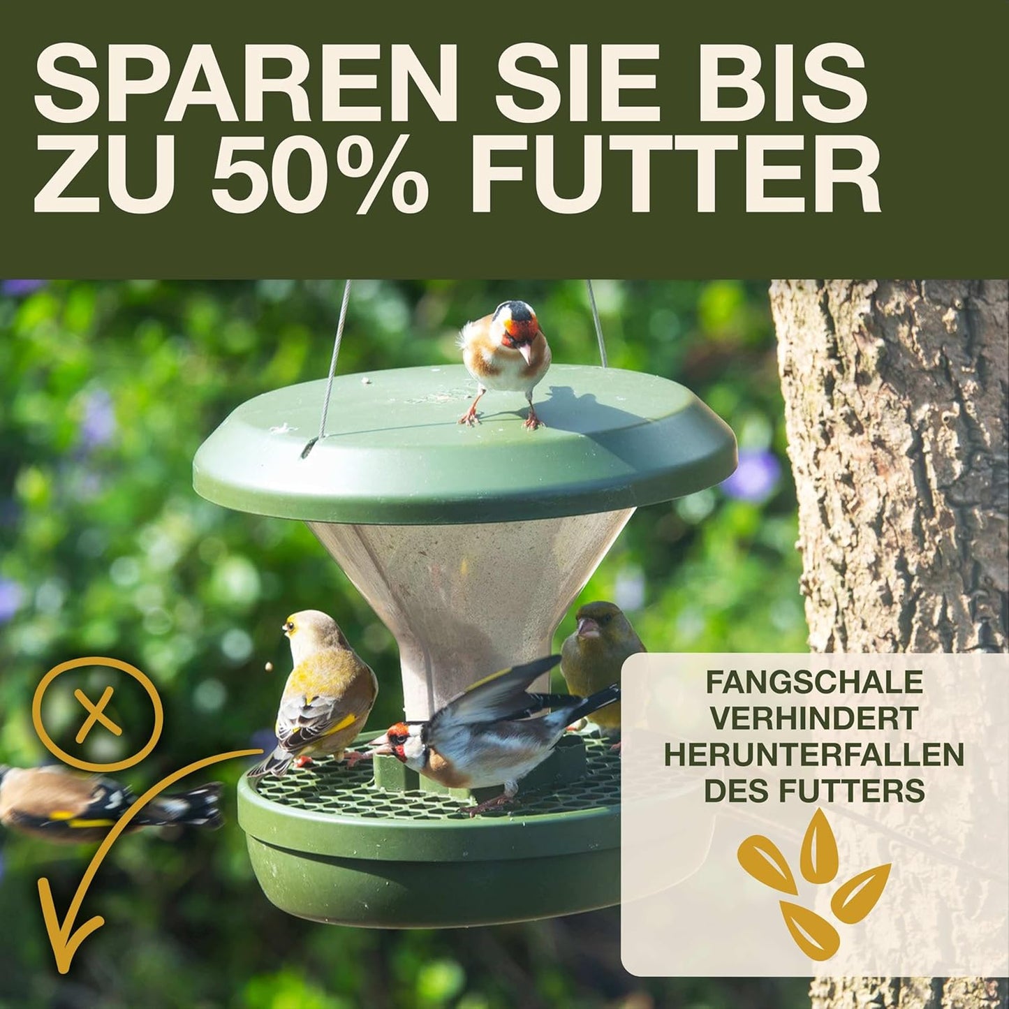 Vogelfutterhaus Davos, Grün Davos