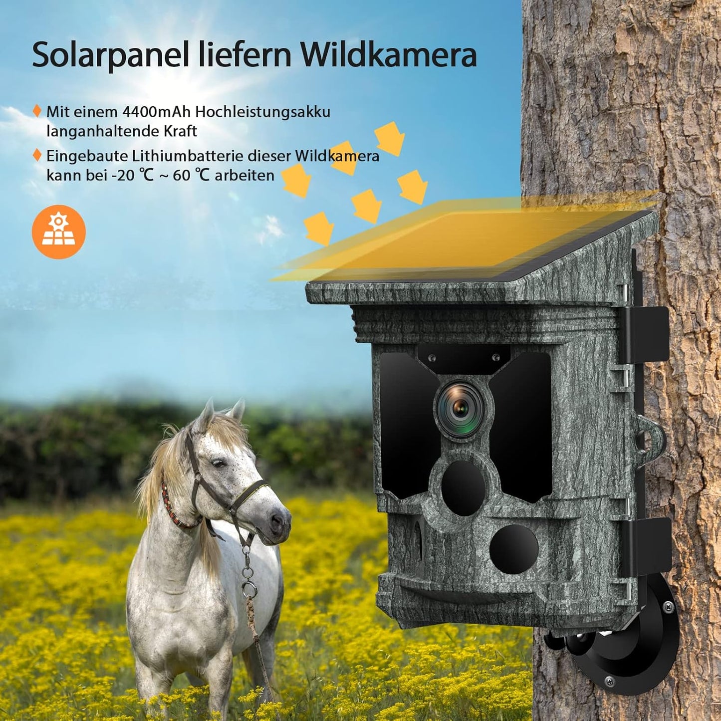 Wildkamera TC08 mit Solar