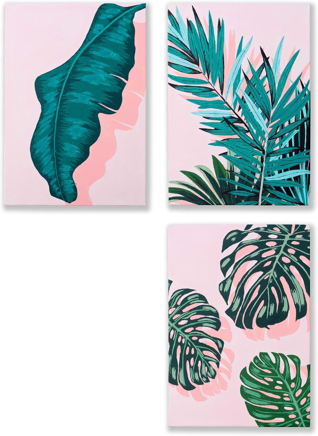 Malen nach Zahlen Set Plant Life, 3-teilig, Plant Life