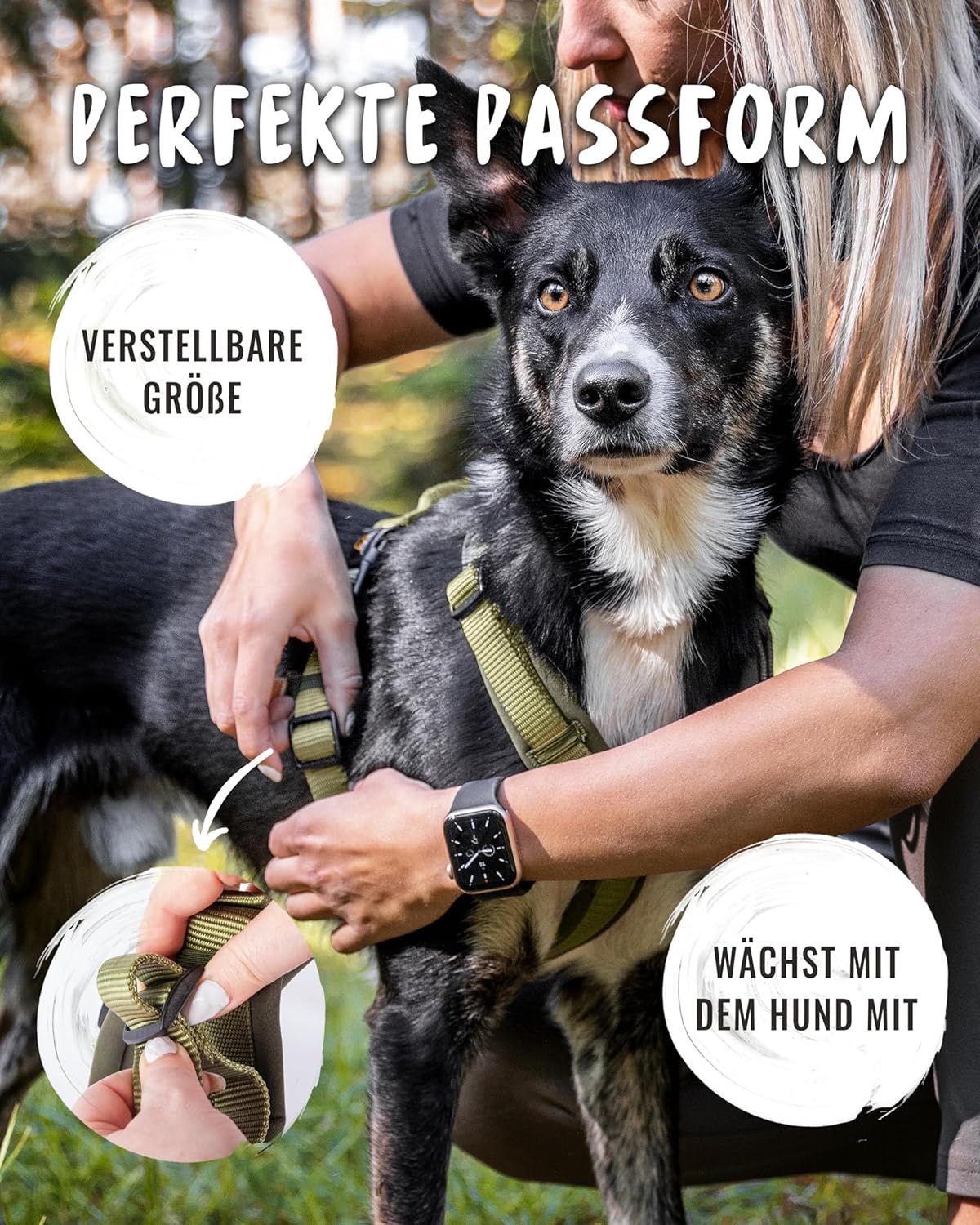 Hundegeschirr Bella, L Khaki