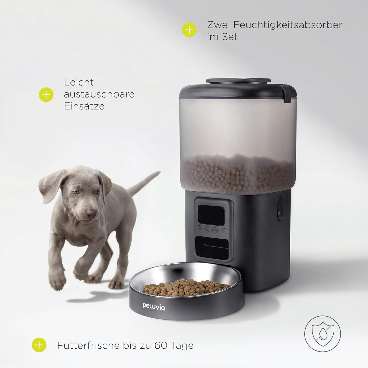 Automatischer Hunde-Futterspender mit Timer