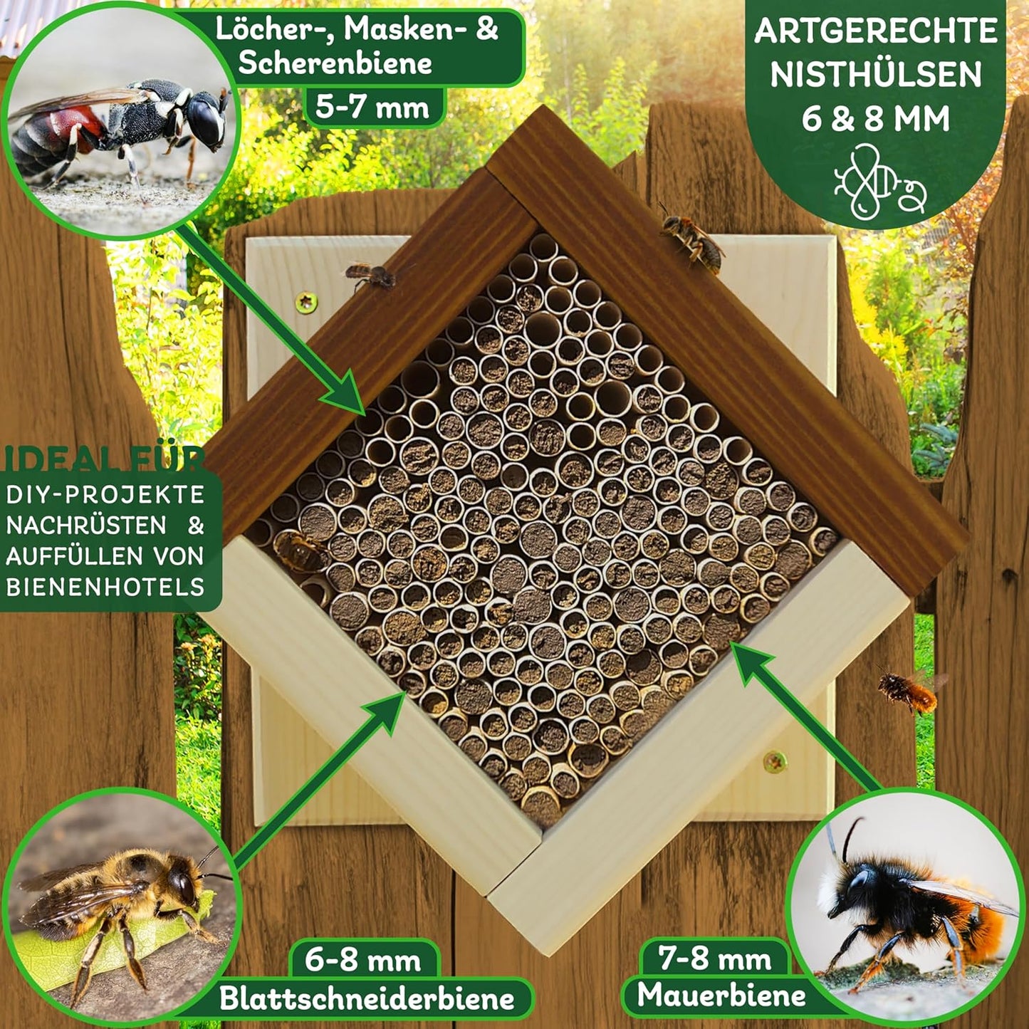 Niströhren für Wildbienen, 2 x 250 Stück, 2x250 Premium Wildbienen Nisthülsen 6 & 8mm