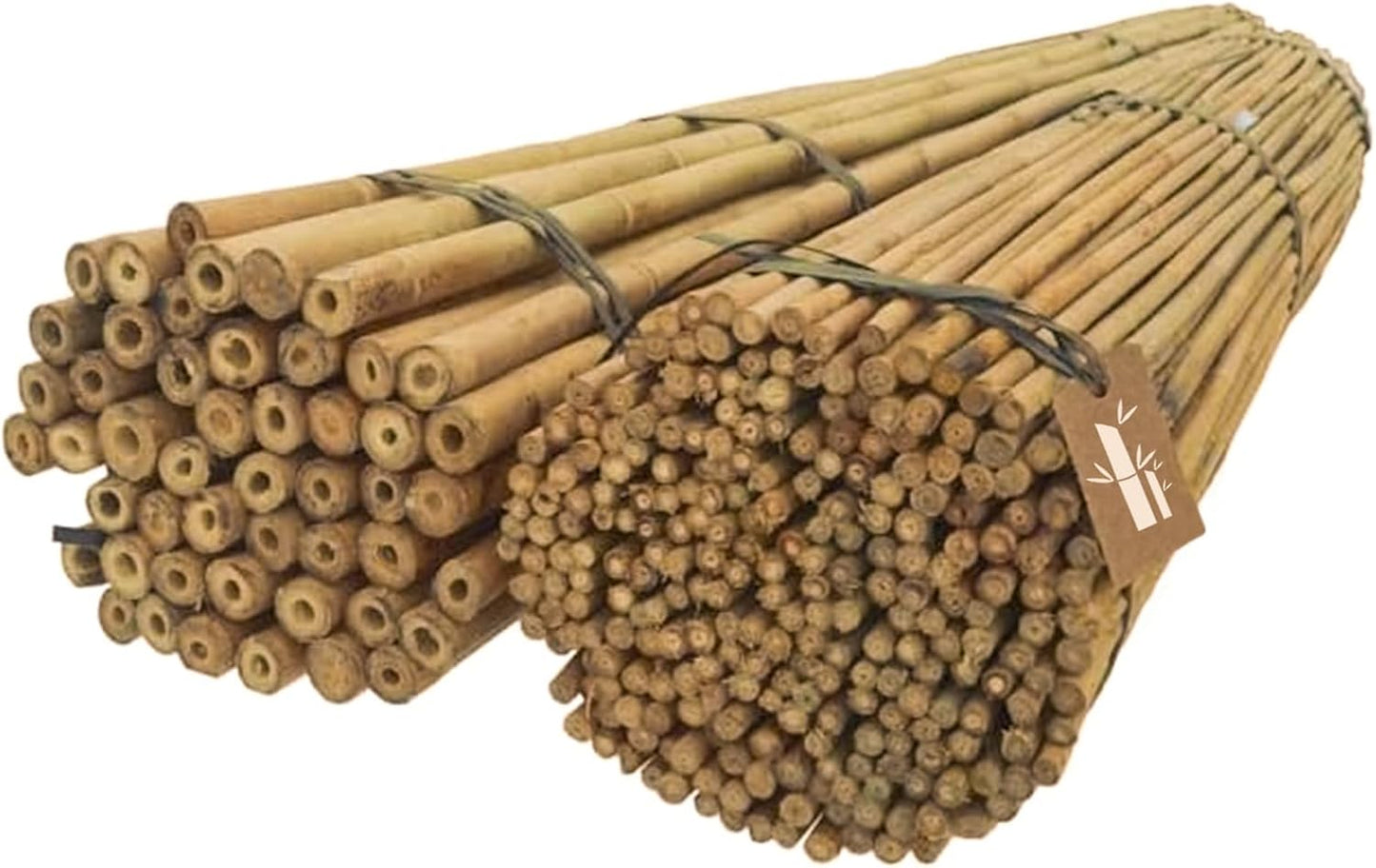 Pflanzenstützen-Set, 250 150 cm x 10-12 mm