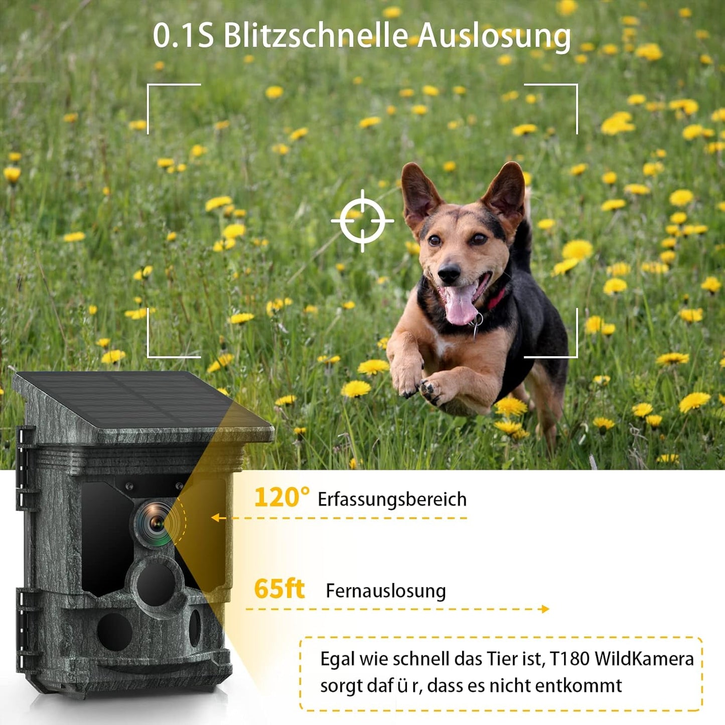 Wildkamera TC08 mit Solar