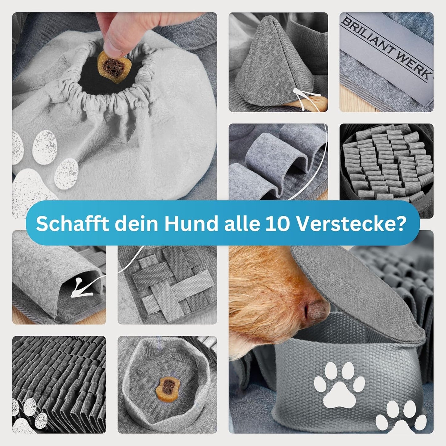 Schnüffelteppich mit 10 Trainingselementen und 3 Schwierigkeitsstufen, gross Grau