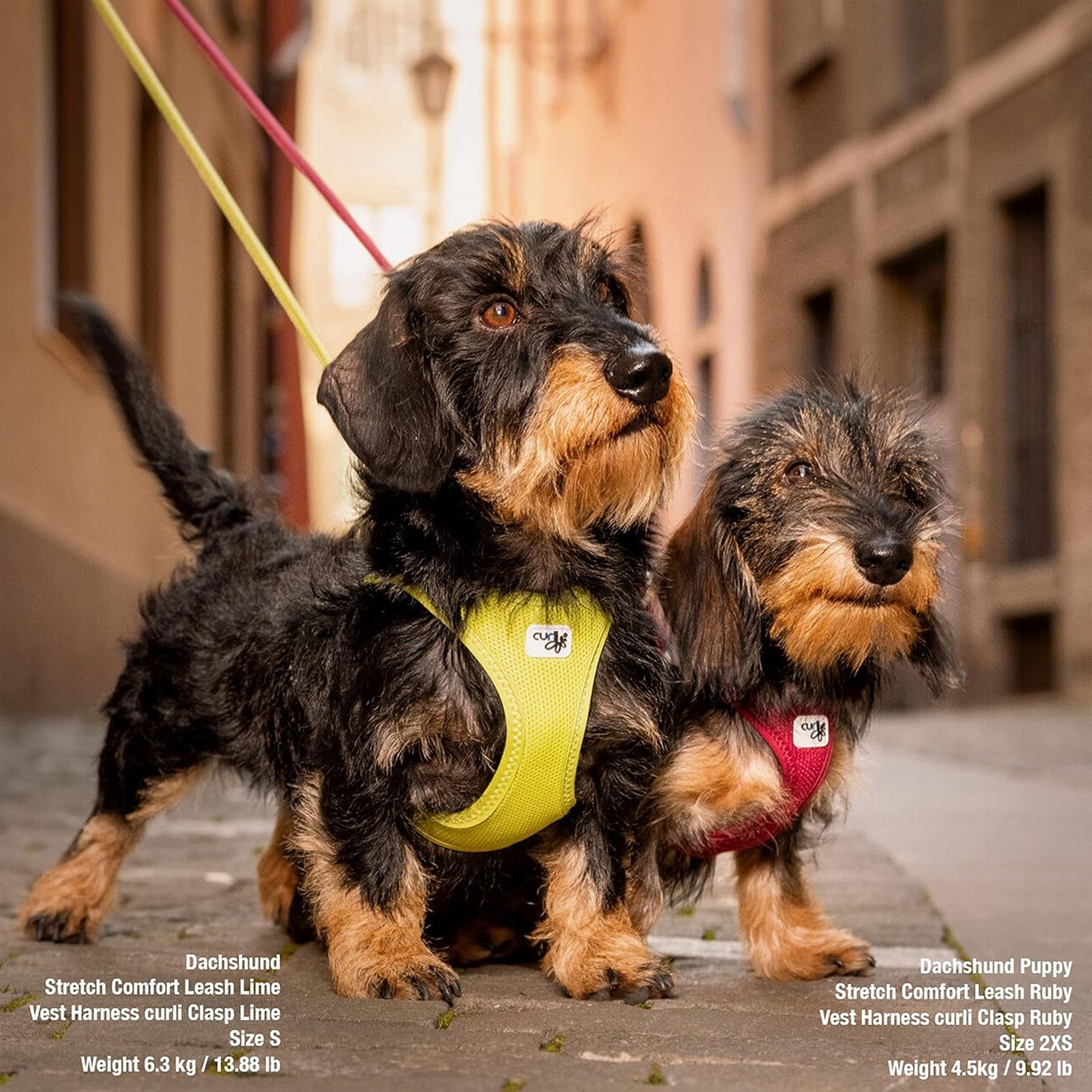 Clasp Air-Mesh Vest Hundegeschirr, Ruby L Einfarbig