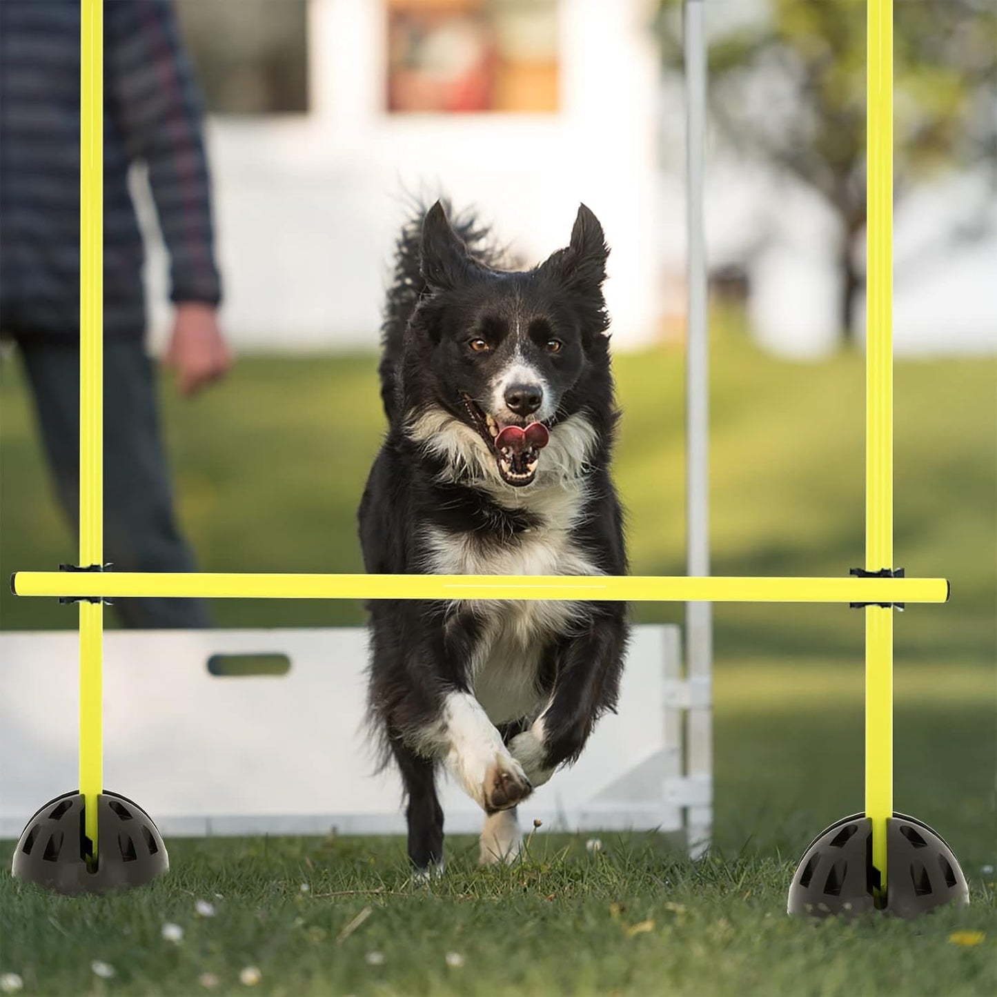 Agility Trainingsset für Hürden- und Sprungparcours, Gelb