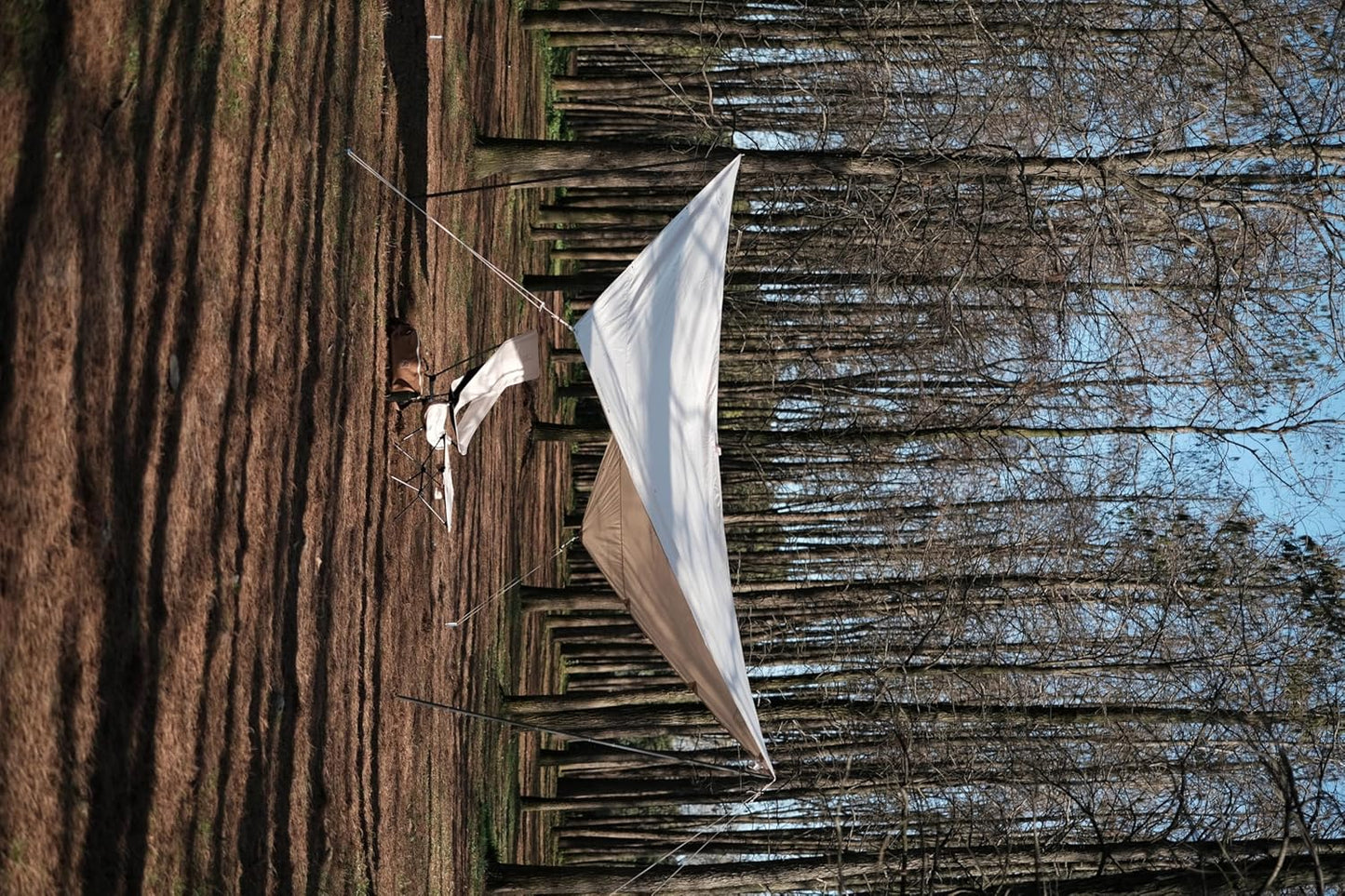 Tarp Kari 12