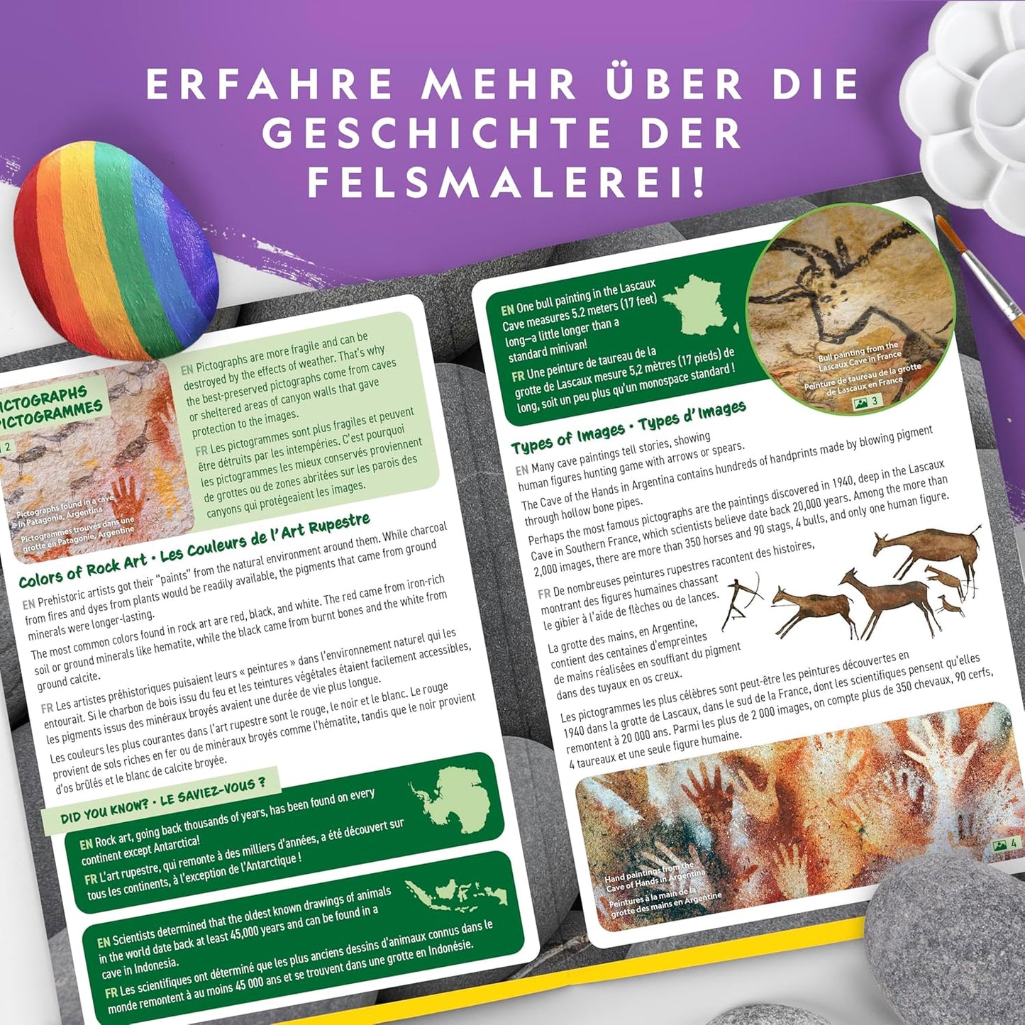 Steine Bemalen Set
