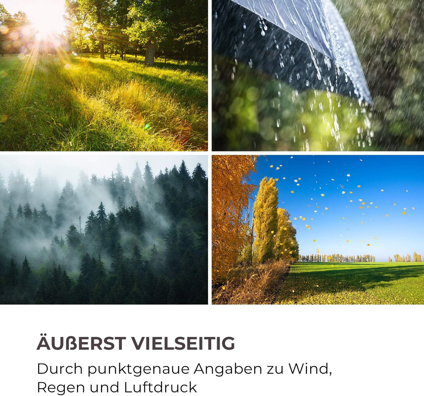 Profi-Wetterstation mit App-Steuerung, schwarz-weiss