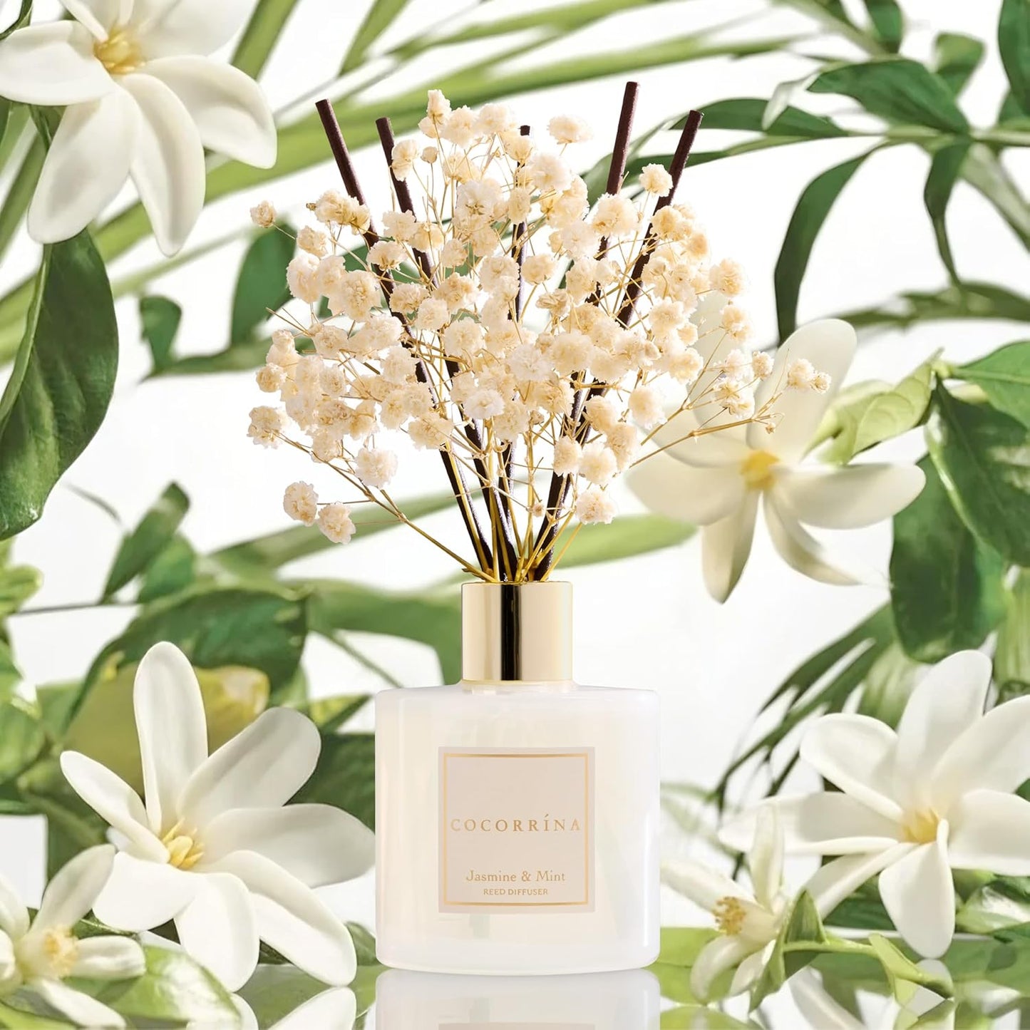 Raumduft Reed Diffuser Jasmine & Mint, Jasmine & Mint Raumduft/200ML/1 Stück