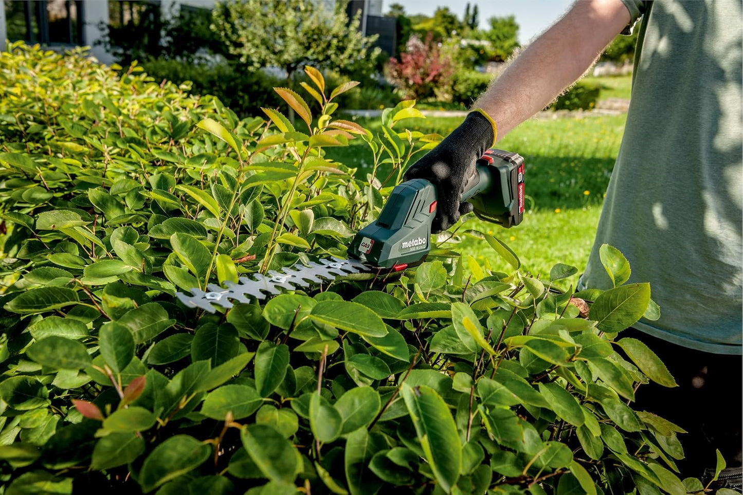 Akku-Strauch- und Grasschere SGS 18 LTX Q