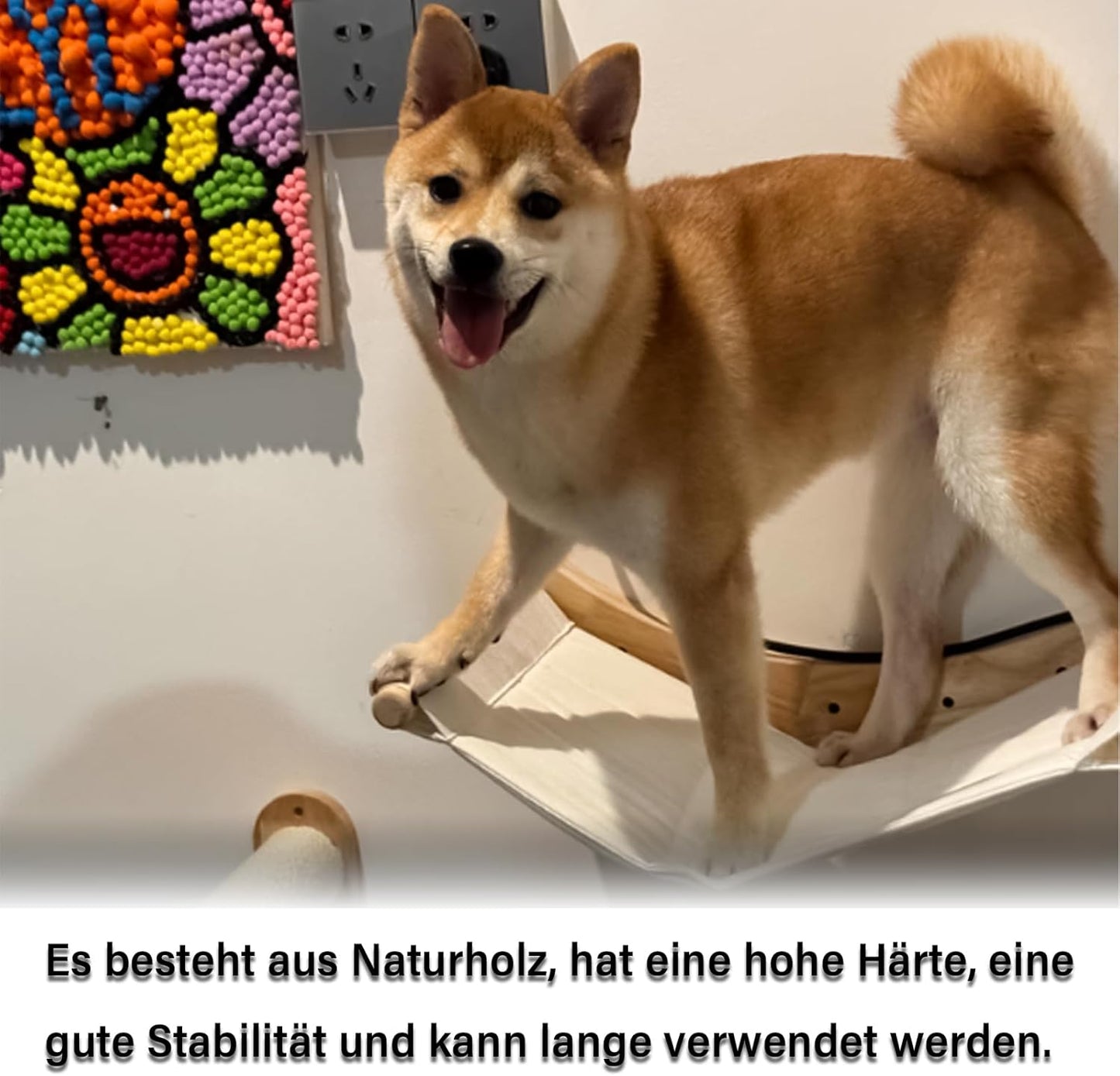 Katzen-Hängematte für die Wandmontage