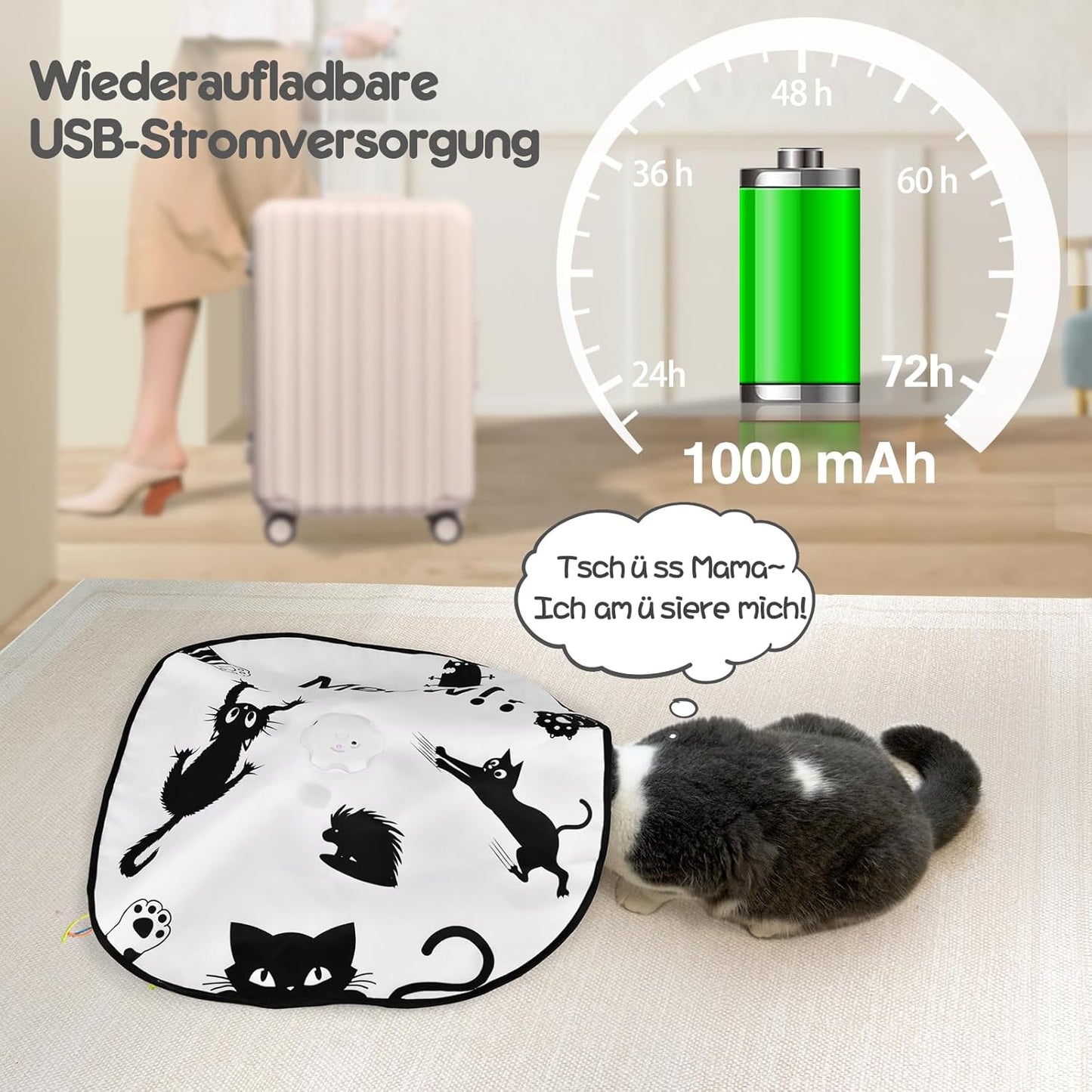 Interaktives 4-in-1 Katzenspielzeug, Schwarzer Miau