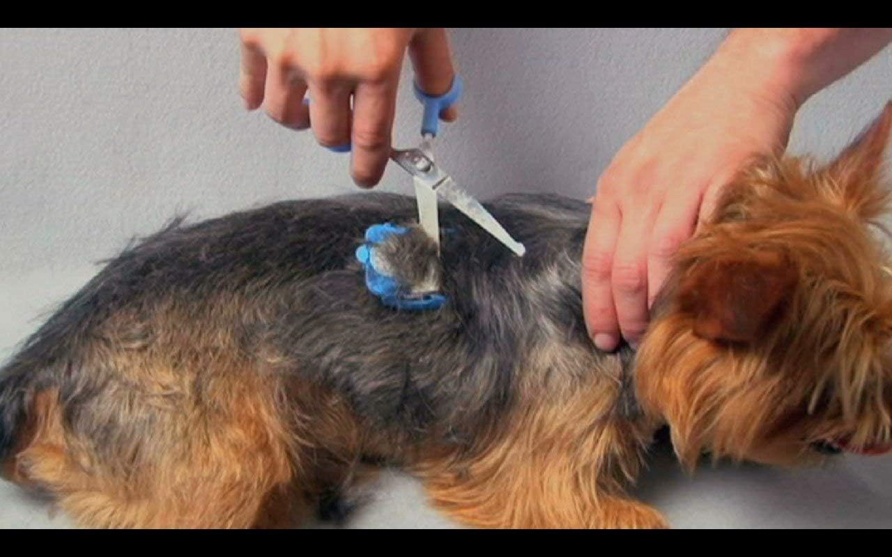 Silent Pet Grooming Kit, 16 Stück Rechtshändig Blau