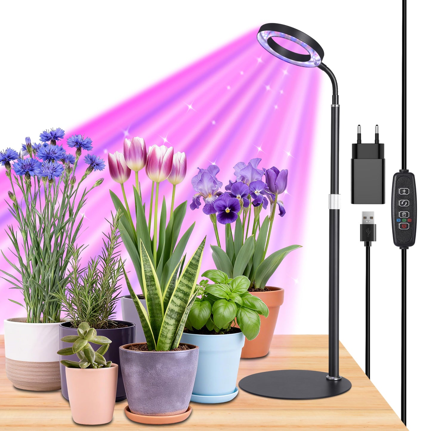 Vollspektrum-Wachstumslicht mit Timer, Schwarz Rgb 1-pack