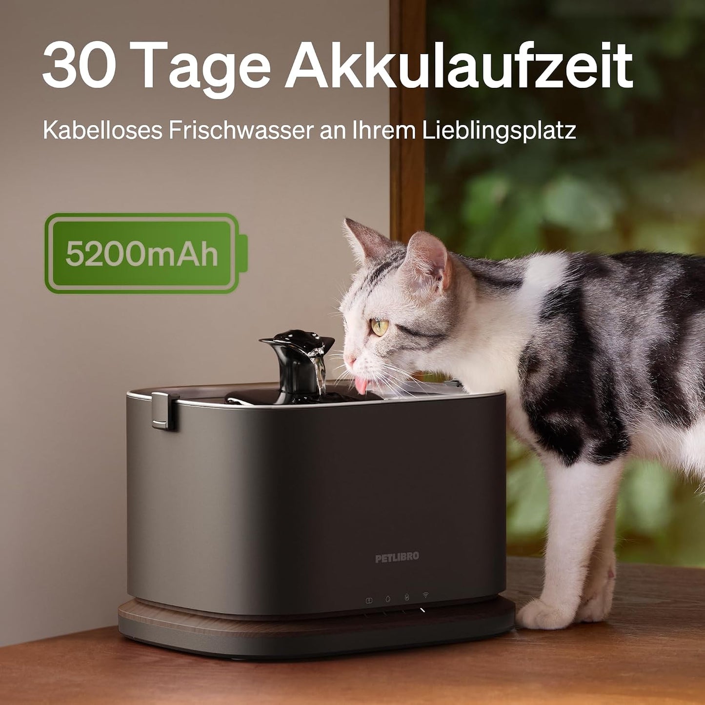 Kabelloser Katzenbrunnen mit App-Überwachung, Schwarz 3L