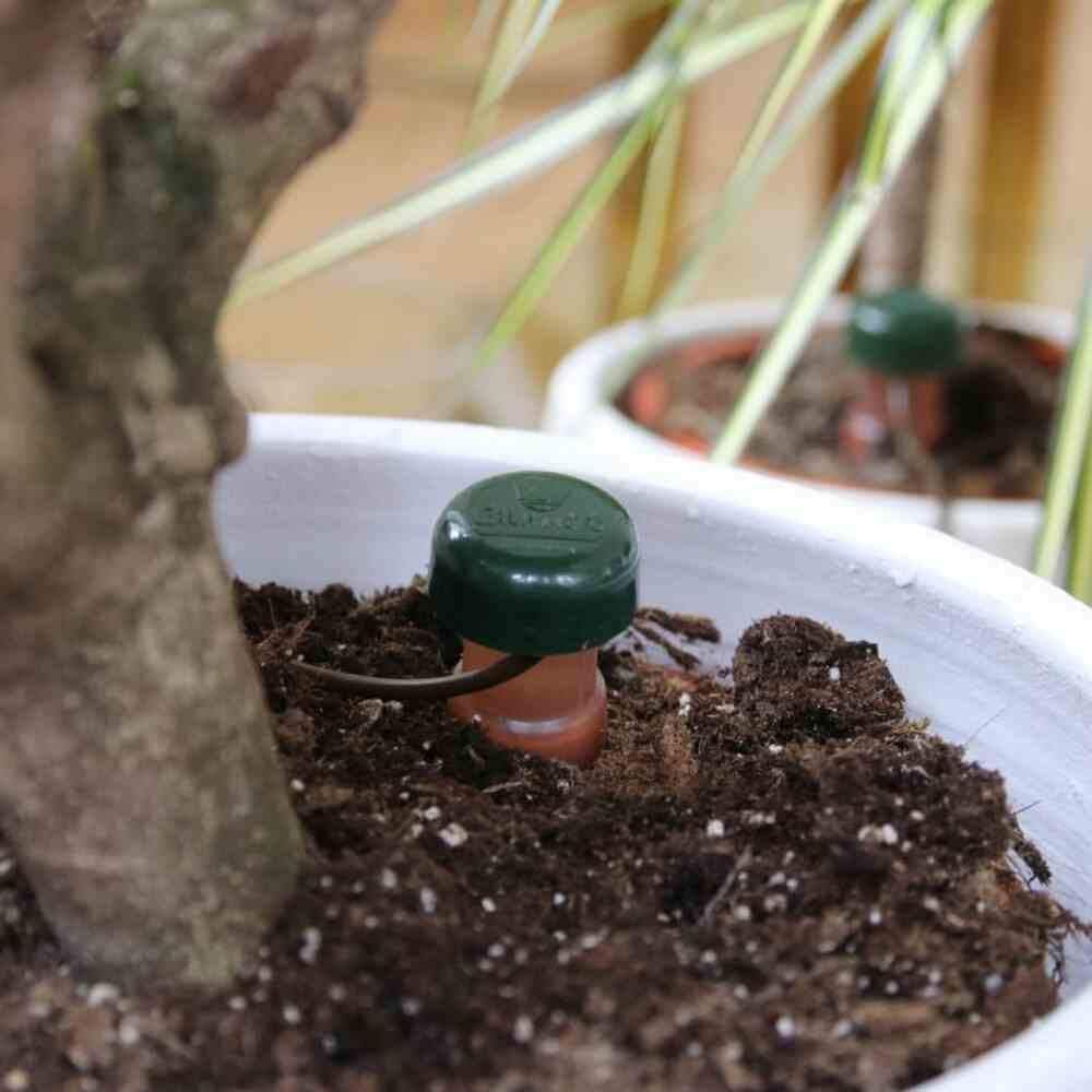 Wasserspender für Zimmerpflanzen, 6 Stück