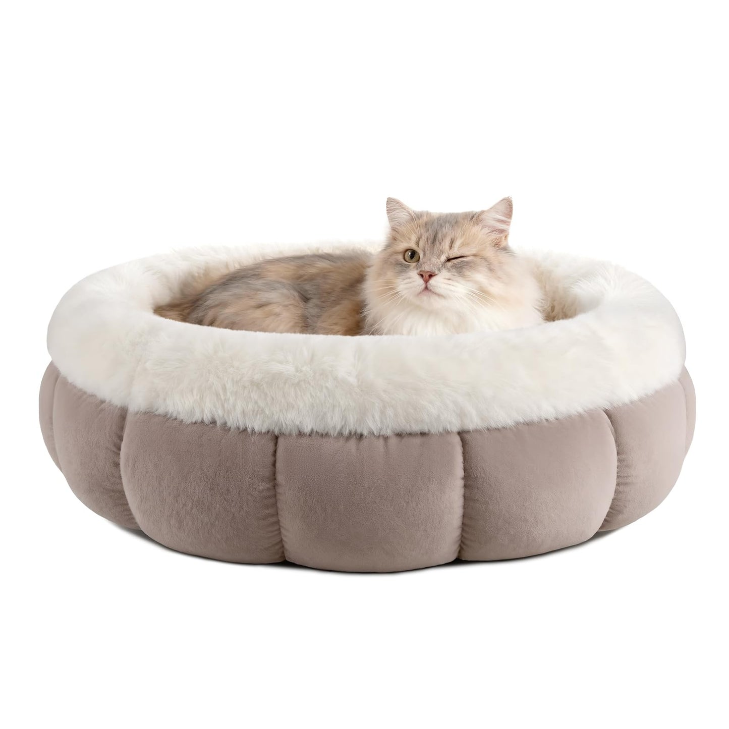 Katzenbett mit rutschfester Basis, 45x45x16.5CM Braun