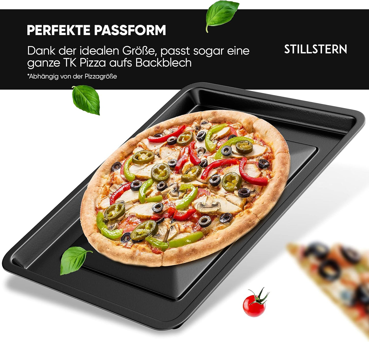 Backblech für 25L Minibackofen