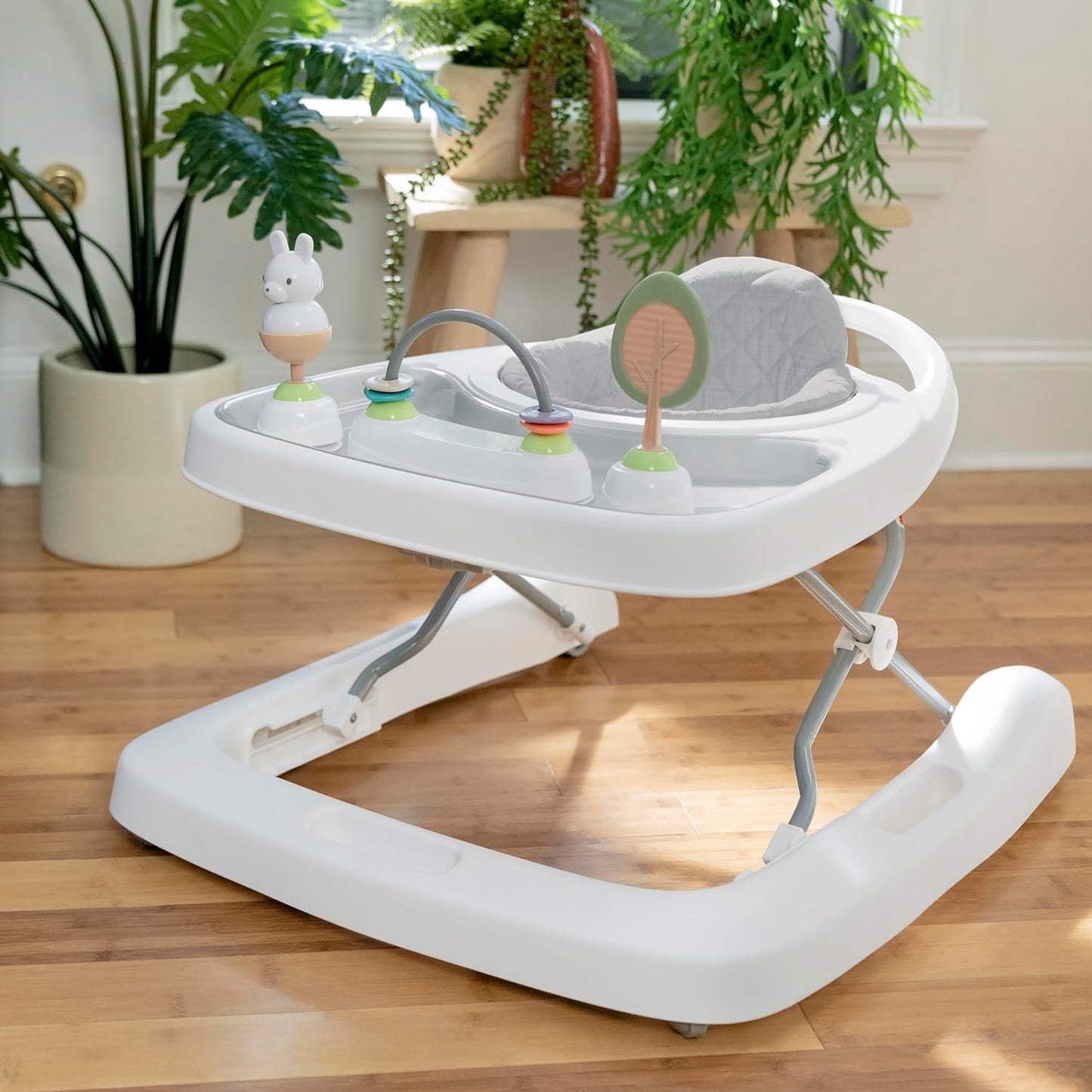 Step & Sprout First Forest, Step & Sprout